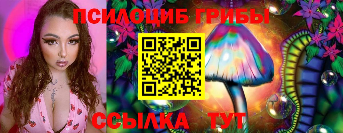 Псилоцибиновые грибы мухоморы  Вход с VPN  Людиново 